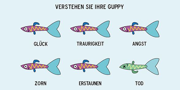 Die Guppys